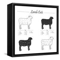 Lamb Cut Scheme - B&W-ONiONAstudio-Framed Stretched Canvas