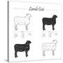 Lamb Cut Scheme - B&W-ONiONAstudio-Stretched Canvas