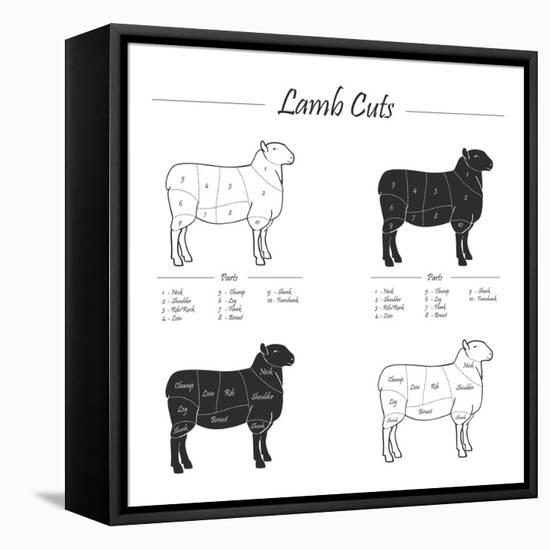 Lamb Cut Scheme - B&W-ONiONAstudio-Framed Stretched Canvas