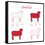 Lamb Cuts-ONiONAstudio-Framed Stretched Canvas