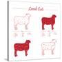 Lamb Cuts-ONiONAstudio-Stretched Canvas