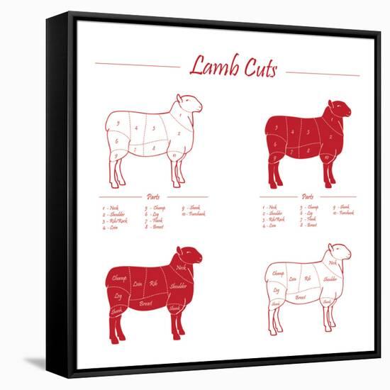 Lamb Cuts-ONiONAstudio-Framed Stretched Canvas