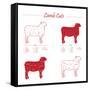 Lamb Cuts-ONiONAstudio-Framed Stretched Canvas