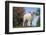 Lamb in Grass-DLILLC-Framed Photographic Print