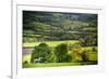 Lamb in Spring, Winchcombe, the Cotswolds, Gloucestershire, England, United Kingdom, Europe-Matthew Williams-Ellis-Framed Photographic Print