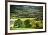 Lamb in Spring, Winchcombe, the Cotswolds, Gloucestershire, England, United Kingdom, Europe-Matthew Williams-Ellis-Framed Photographic Print