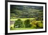 Lamb in Spring, Winchcombe, the Cotswolds, Gloucestershire, England, United Kingdom, Europe-Matthew Williams-Ellis-Framed Photographic Print