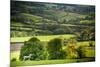 Lamb in Spring, Winchcombe, the Cotswolds, Gloucestershire, England, United Kingdom, Europe-Matthew Williams-Ellis-Mounted Photographic Print