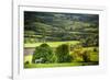 Lamb in Spring, Winchcombe, the Cotswolds, Gloucestershire, England, United Kingdom, Europe-Matthew Williams-Ellis-Framed Photographic Print