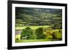 Lamb in Spring, Winchcombe, the Cotswolds, Gloucestershire, England, United Kingdom, Europe-Matthew Williams-Ellis-Framed Photographic Print