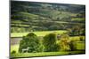 Lamb in Spring, Winchcombe, the Cotswolds, Gloucestershire, England, United Kingdom, Europe-Matthew Williams-Ellis-Mounted Photographic Print