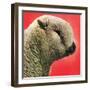 "Lamb,"May 1, 1948-Stanley Johnson-Framed Giclee Print