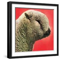 "Lamb,"May 1, 1948-Stanley Johnson-Framed Giclee Print