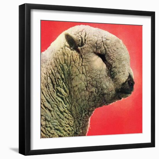 "Lamb,"May 1, 1948-Stanley Johnson-Framed Giclee Print