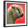 "Lamb,"May 1, 1948-Stanley Johnson-Framed Giclee Print