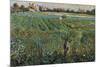 Lambard Landscape-Umberto Boccioni-Mounted Giclee Print