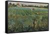 Lambard Landscape-Umberto Boccioni-Framed Stretched Canvas