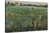 Lambard Landscape-Umberto Boccioni-Stretched Canvas