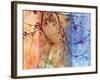 Lambent Sunlight-Jackie Battenfield-Framed Giclee Print