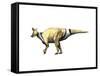 Lambeosaurus Dinosaur-null-Framed Stretched Canvas