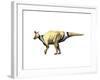 Lambeosaurus Dinosaur-null-Framed Art Print