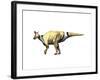 Lambeosaurus Dinosaur-null-Framed Art Print