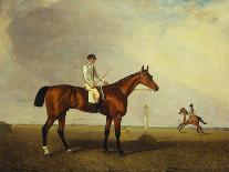 A Bay Racehorse with a Jockey Up on a Racehorse-Lambert Marshall-Mounted Giclee Print