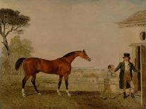 A Bay Racehorse with a Jockey Up on a Racehorse-Lambert Marshall-Framed Giclee Print