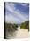 Lambert's Cove Beach, North Tisbury, Martha's Vineyard, Massachusetts, USA-Walter Bibikow-Stretched Canvas