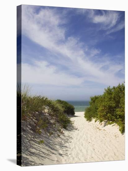 Lambert's Cove Beach, North Tisbury, Martha's Vineyard, Massachusetts, USA-Walter Bibikow-Stretched Canvas