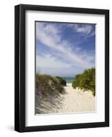 Lambert's Cove Beach, North Tisbury, Martha's Vineyard, Massachusetts, USA-Walter Bibikow-Framed Photographic Print