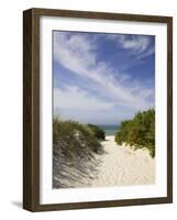 Lambert's Cove Beach, North Tisbury, Martha's Vineyard, Massachusetts, USA-Walter Bibikow-Framed Photographic Print