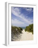 Lambert's Cove Beach, North Tisbury, Martha's Vineyard, Massachusetts, USA-Walter Bibikow-Framed Photographic Print