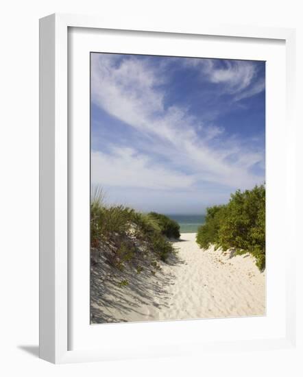 Lambert's Cove Beach, North Tisbury, Martha's Vineyard, Massachusetts, USA-Walter Bibikow-Framed Photographic Print