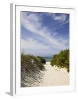 Lambert's Cove Beach, North Tisbury, Martha's Vineyard, Massachusetts, USA-Walter Bibikow-Framed Photographic Print