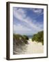 Lambert's Cove Beach, North Tisbury, Martha's Vineyard, Massachusetts, USA-Walter Bibikow-Framed Photographic Print