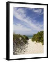 Lambert's Cove Beach, North Tisbury, Martha's Vineyard, Massachusetts, USA-Walter Bibikow-Framed Photographic Print