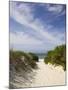 Lambert's Cove Beach, North Tisbury, Martha's Vineyard, Massachusetts, USA-Walter Bibikow-Mounted Photographic Print