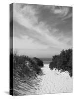 Lambert's Cove Beach, North Tisbury, Martha's Vineyard, Massachusetts, USA-Walter Bibikow-Stretched Canvas