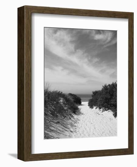 Lambert's Cove Beach, North Tisbury, Martha's Vineyard, Massachusetts, USA-Walter Bibikow-Framed Photographic Print