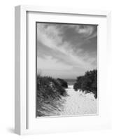 Lambert's Cove Beach, North Tisbury, Martha's Vineyard, Massachusetts, USA-Walter Bibikow-Framed Photographic Print