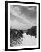 Lambert's Cove Beach, North Tisbury, Martha's Vineyard, Massachusetts, USA-Walter Bibikow-Framed Photographic Print