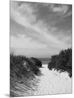 Lambert's Cove Beach, North Tisbury, Martha's Vineyard, Massachusetts, USA-Walter Bibikow-Mounted Photographic Print