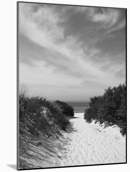 Lambert's Cove Beach, North Tisbury, Martha's Vineyard, Massachusetts, USA-Walter Bibikow-Mounted Photographic Print