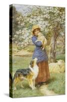 Lambing Time-Basil Bradley-Stretched Canvas