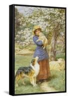 Lambing Time-Basil Bradley-Framed Stretched Canvas