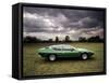 Lamborghini Espada, C1970-null-Framed Stretched Canvas