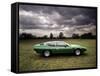 Lamborghini Espada, C1970-null-Framed Stretched Canvas