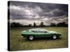 Lamborghini Espada, C1970-null-Stretched Canvas