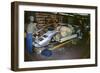 Lamborghini factory 1988.Countach under construction-null-Framed Photographic Print